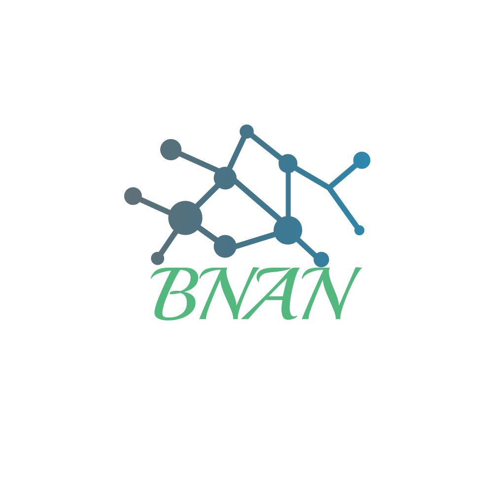 BNAN for Information Technology